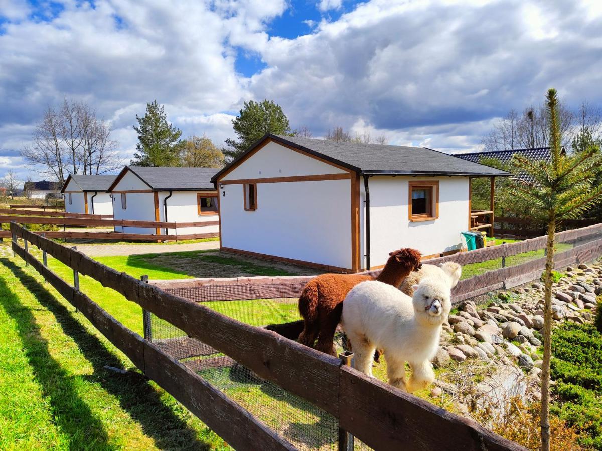 Ferienhaus Na Slonecznikowej Chmielno