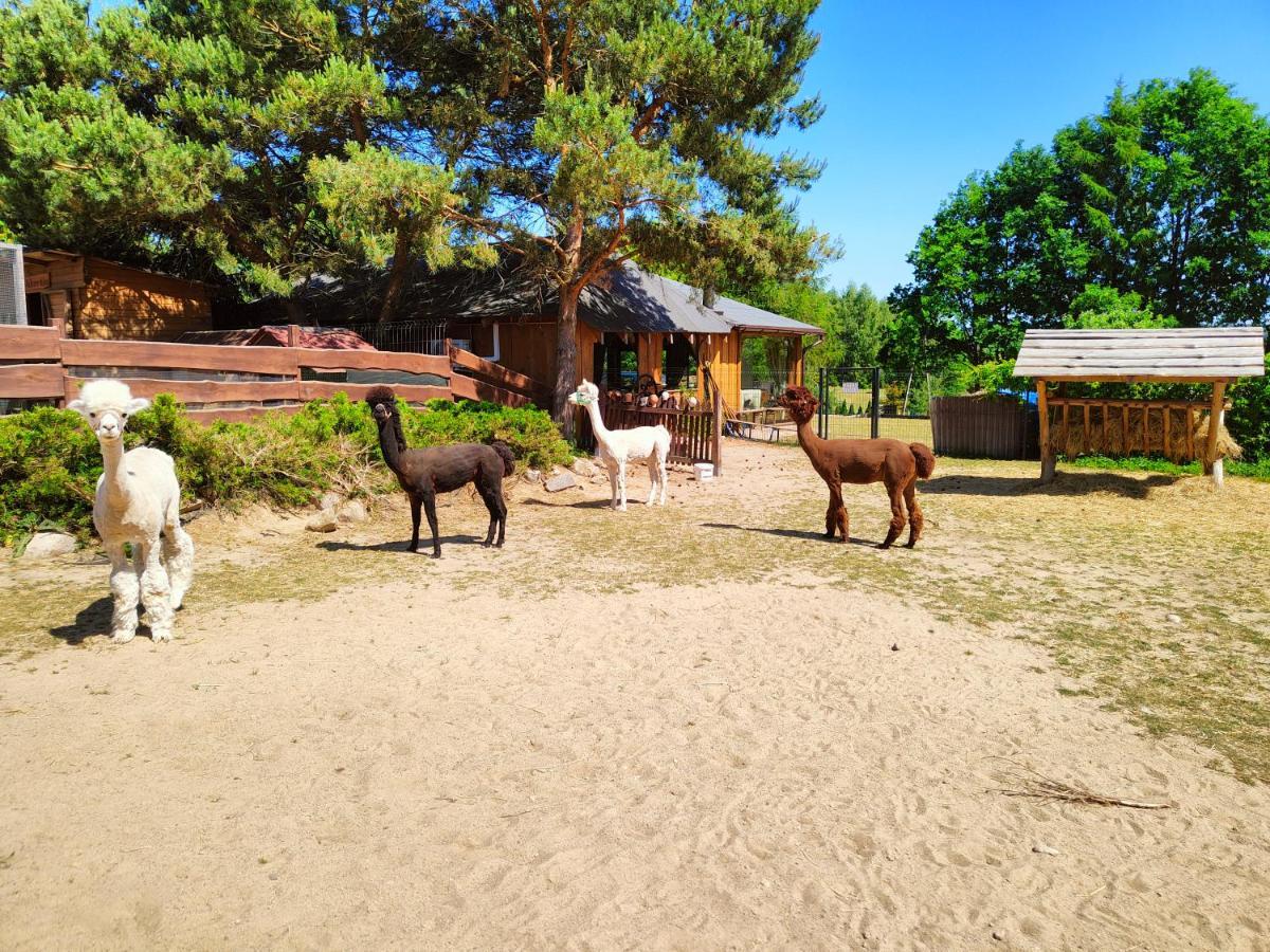 Holiday home Na Slonecznikowej Chmielno