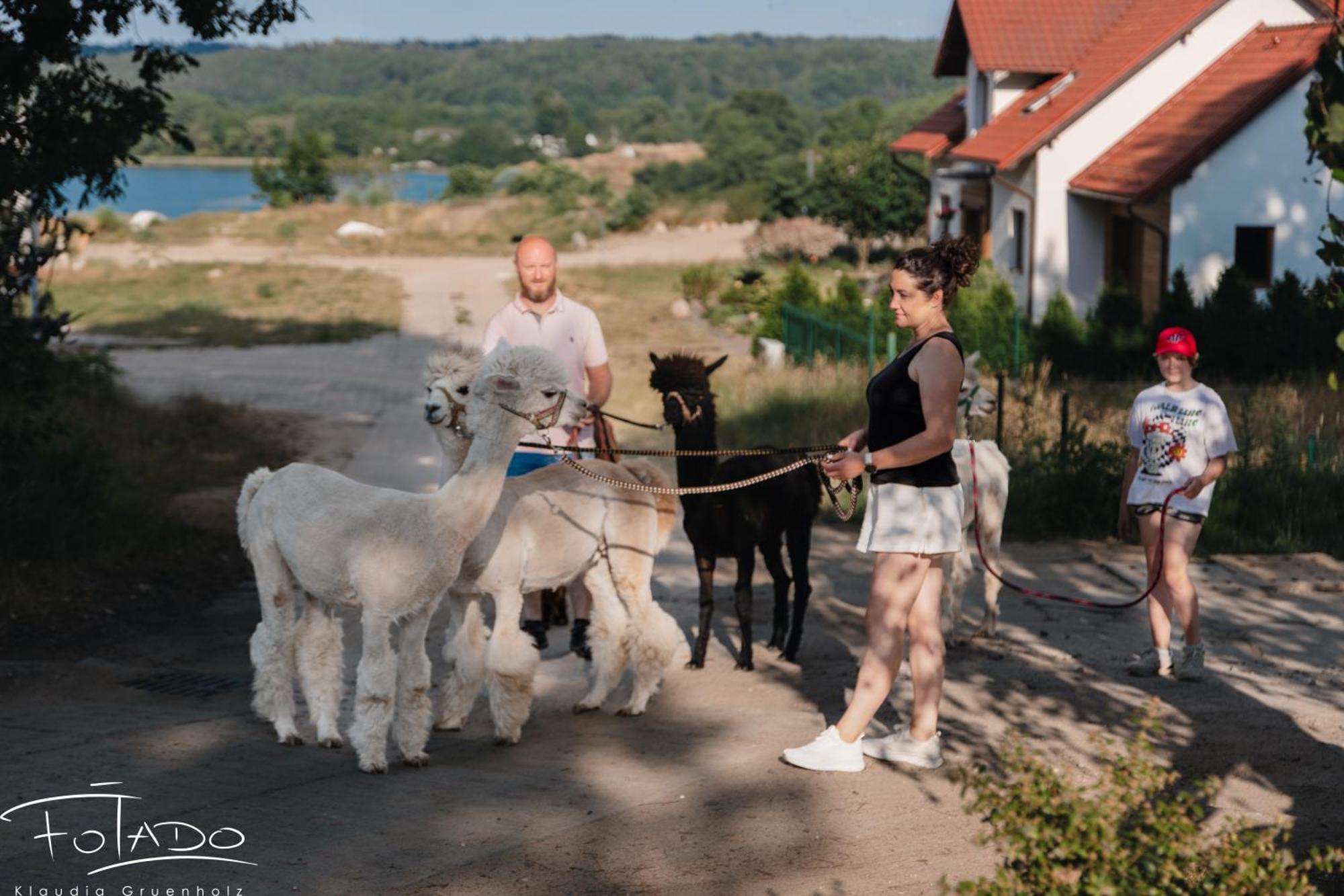 Na Slonecznikowej *