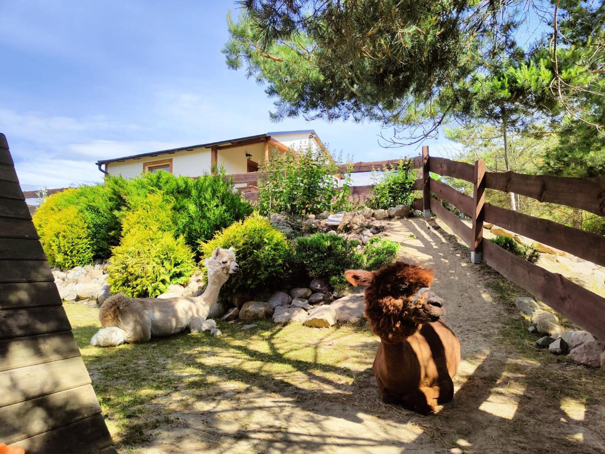 Holiday home Na Slonecznikowej